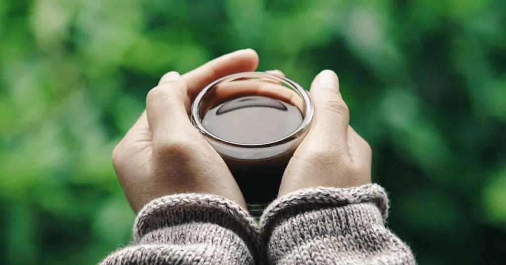 hands holding a cup of coffee