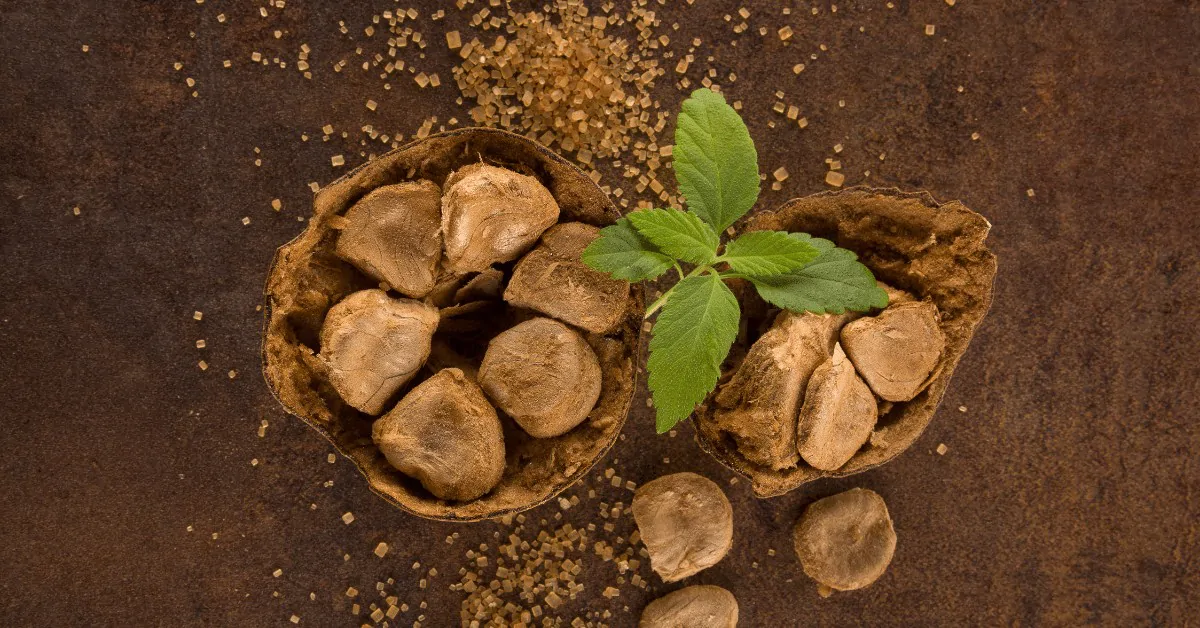 monk fruit and a stevia leaf