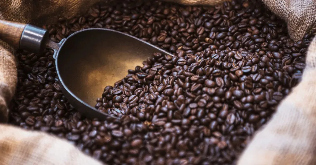 roasted arabica coffee beans in a sack