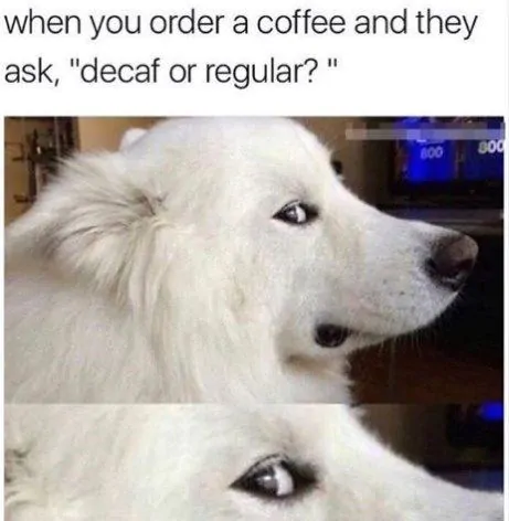 decaf or regular