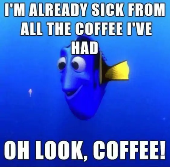 sick from all the coffee i`ve had