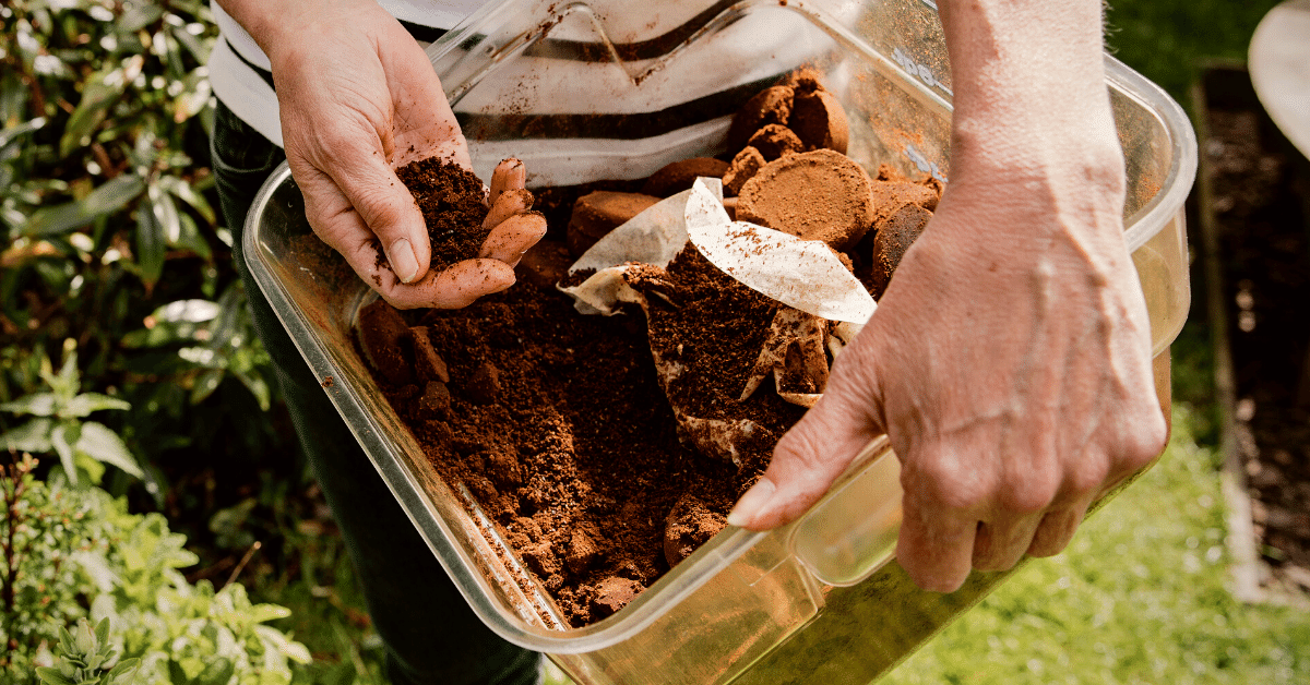 using coffee and coffee filters as compost