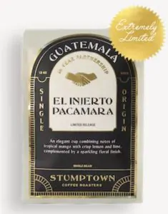 Stumptown Guatemala El Injerto Pacamara Whole Bean Coffee 