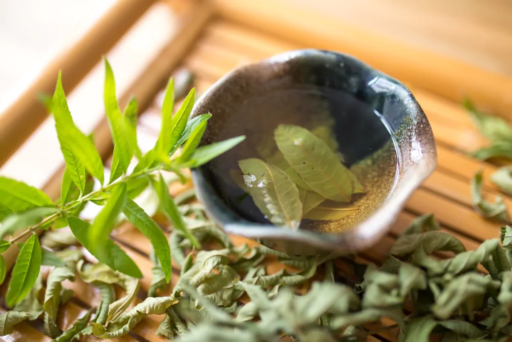 verbena tea